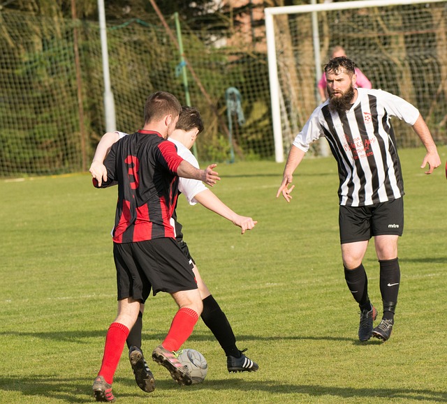 球队不仅在 球队不仅在