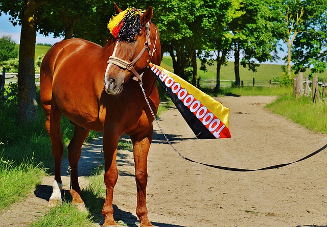 性不容輕視 性不容輕視