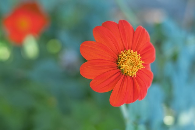 九游娱乐(jiuyou)官网-在线体育游戏娱乐平台