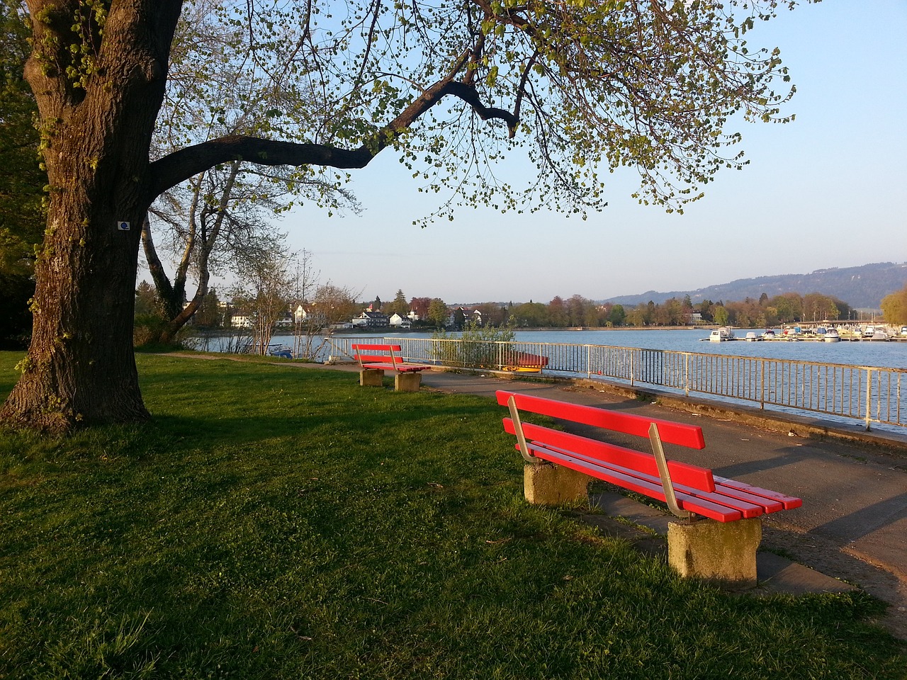 训练中加入 训练中加入