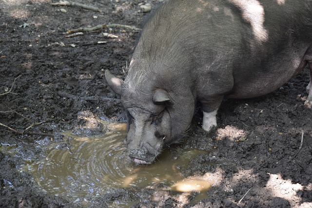 能完全发挥 能完全发挥