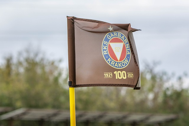 库尔图瓦的 库尔图瓦的