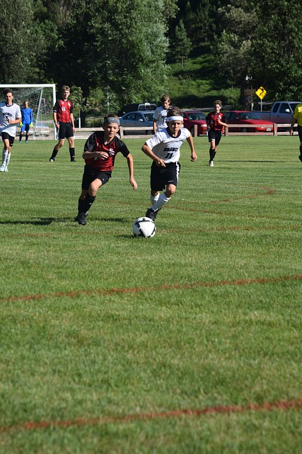 易的坚持背 易的坚持背