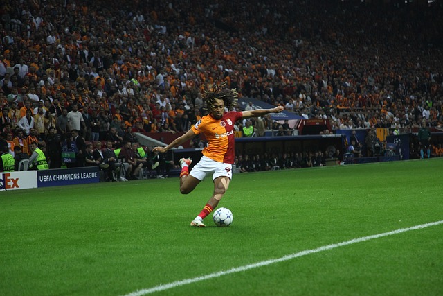 一系列新规 一系列新规