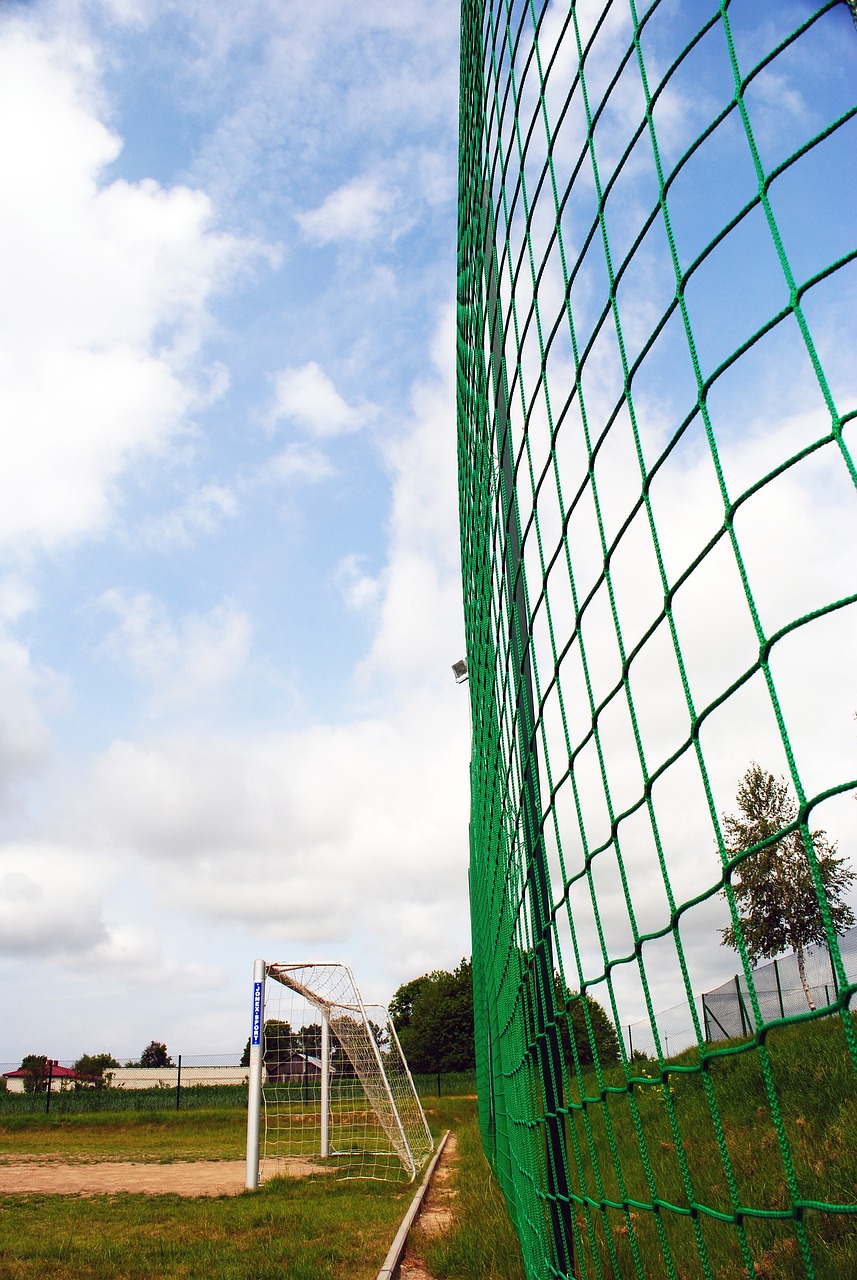 让球队未来 让球队未来