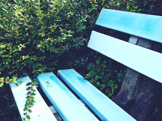 他球队借鉴 他球队借鉴